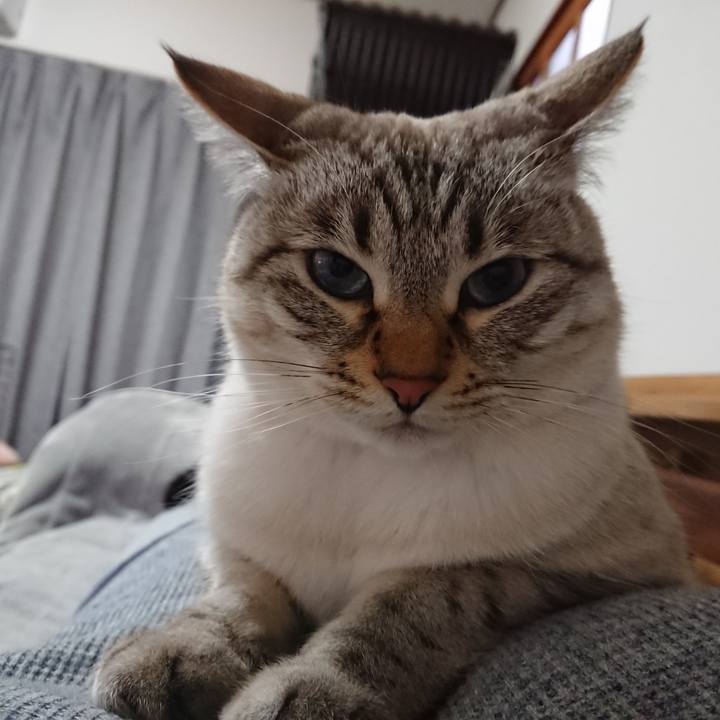 79e5811c 2415 450d bff1 0518786409c6 1582894421891