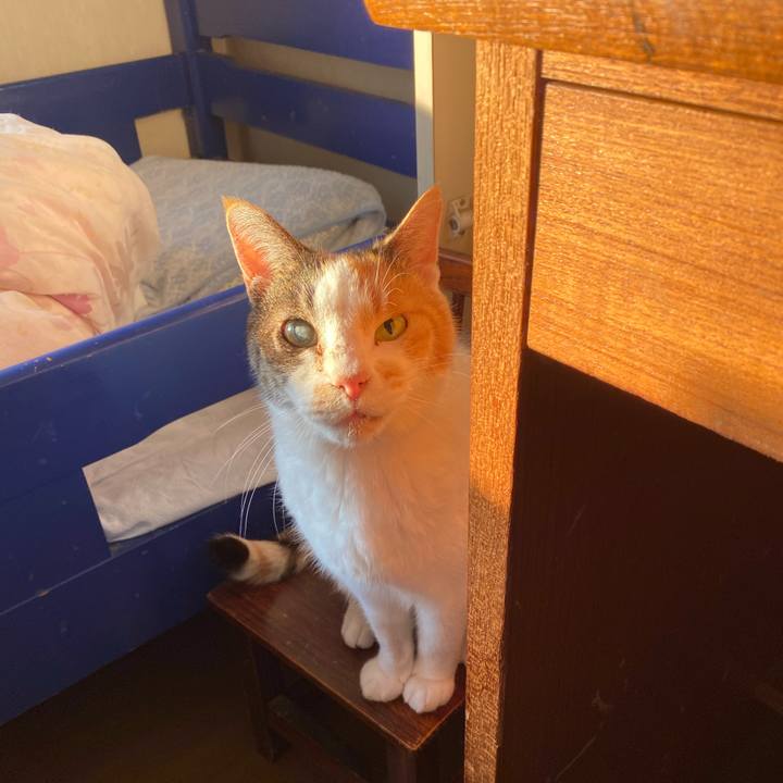 79e5aa56 f66c 480f 986b fc5d90973ca7 1589187960021