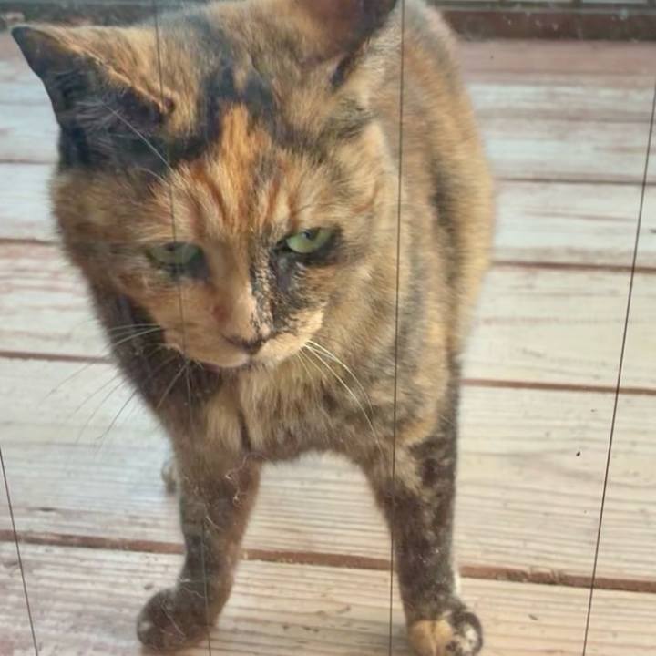 79e60401 7d6f 40e2 a840 efcf1d1f2e74 1751621895142