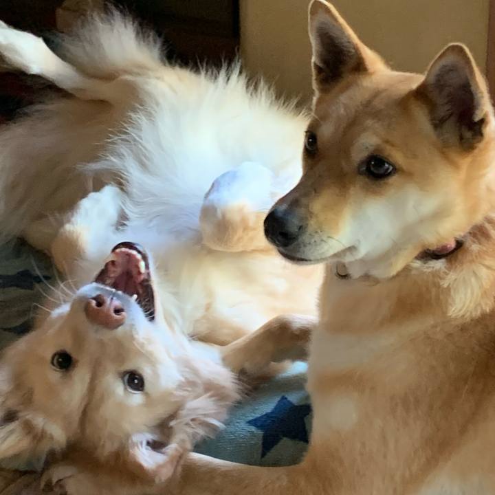 79e60b5b 0766 446d a317 8aea8241f374 1587772871241