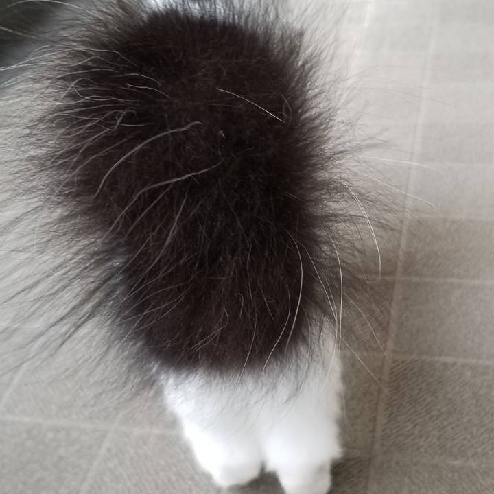 79e60bac 2826 4560 a8b5 ed6e643e8f03 1596959840310