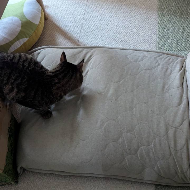 79e60e38 c2d8 4915 b19e 2eff5fda2be1 1748758367230