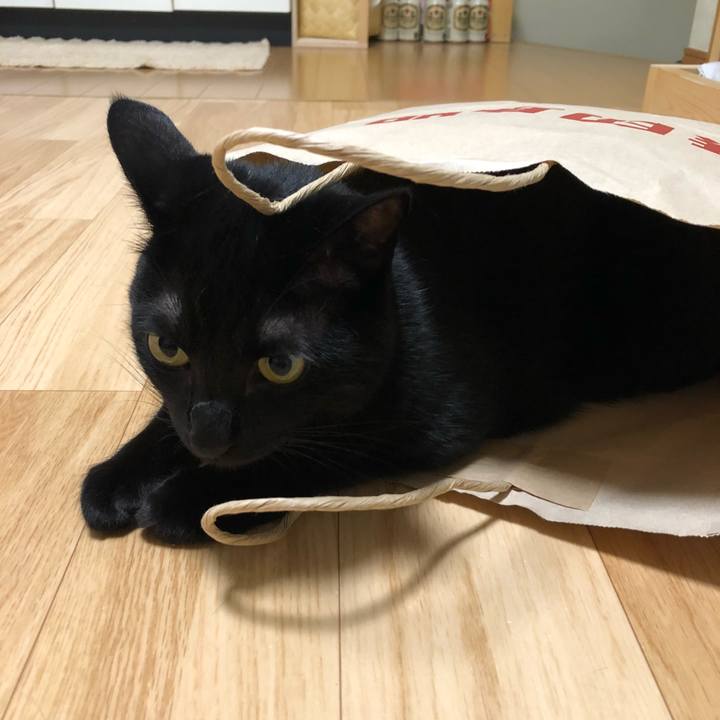 79e636ad 82c6 4634 b13b b24046660c8f 1533337690312