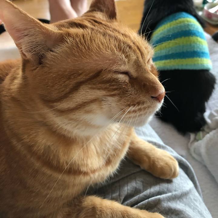 79e66c77 447c 4ac8 a15b 884308c96891 1587284590643