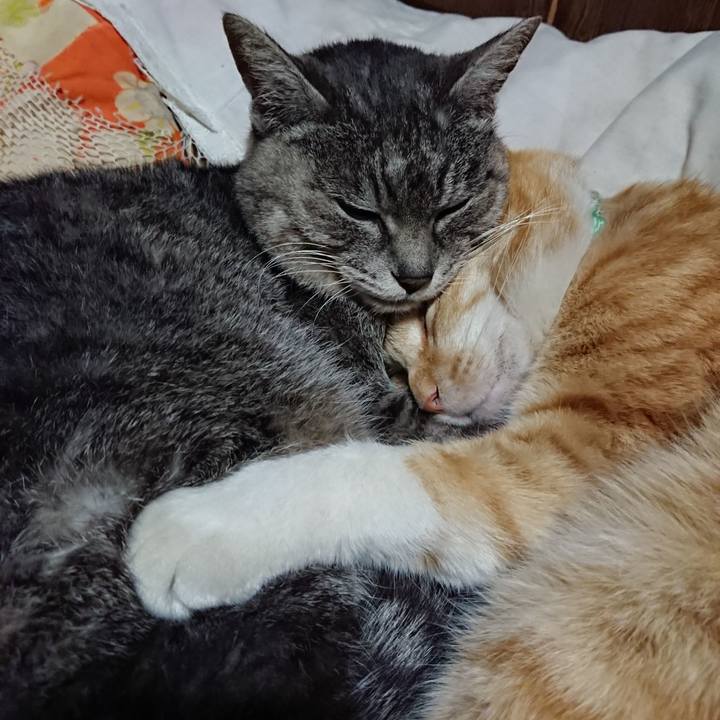 79e672ff 7102 420a ab40 32bd98d9bd0b 1584792482129