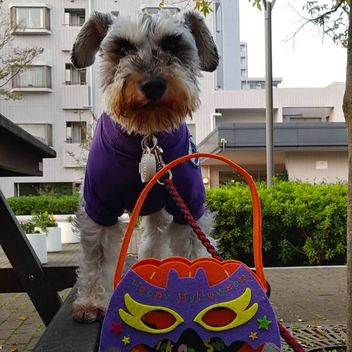 79e6b49a ded2 462a 8eec 5c1df67be0eb 1572474118347