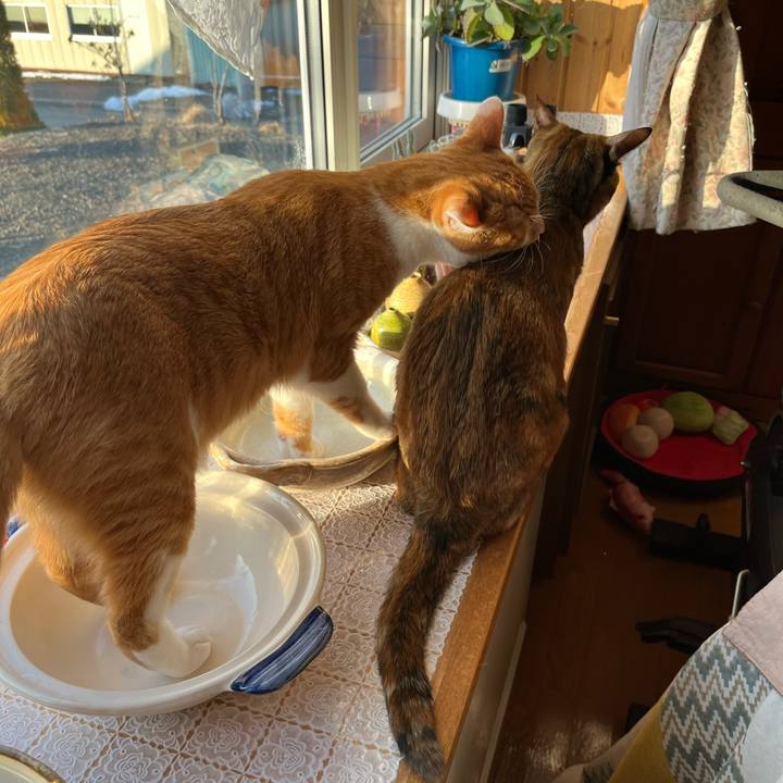 79e6cafa c8b0 4bd0 b112 e2667f4c5c72 1680038677409