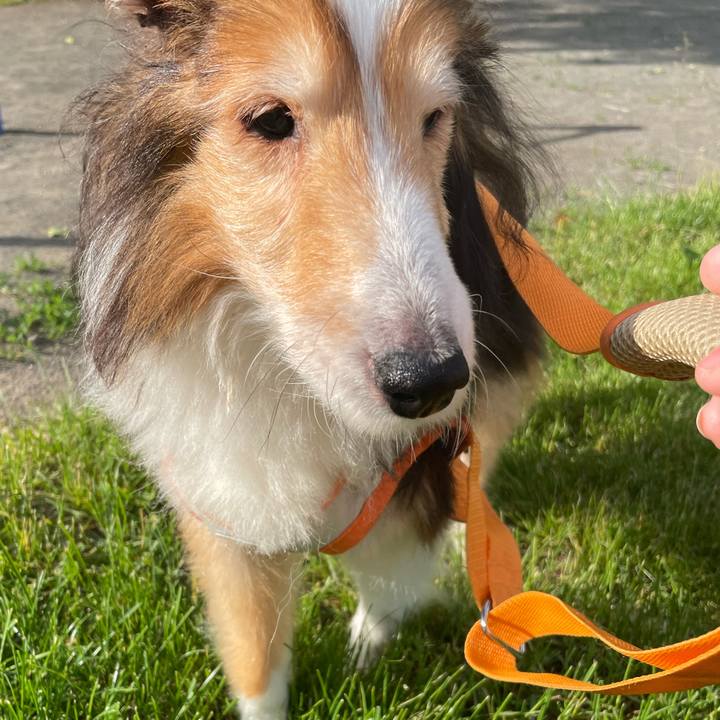 79e6d5d7 cbe5 47b9 bbb1 7a300cf02275 1655685515167