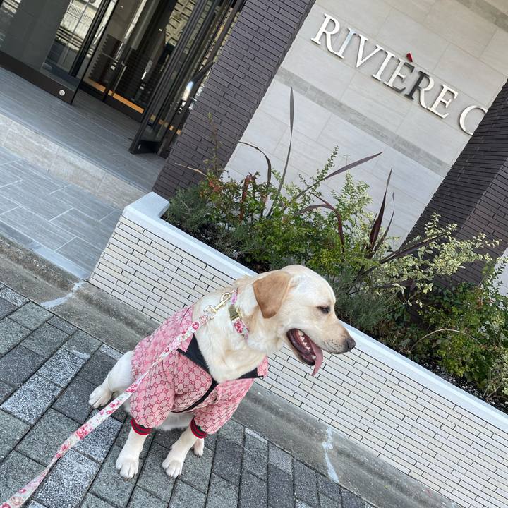 79e70855 ac68 4ff8 aee7 e33e39598bb4 1646307810207