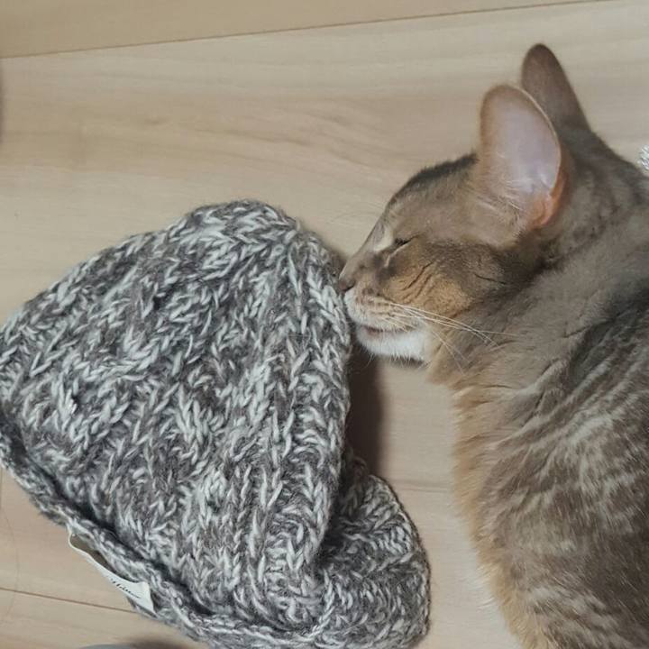 79e70dac 809a 48c0 b5ca a180678aad75 1551676739065