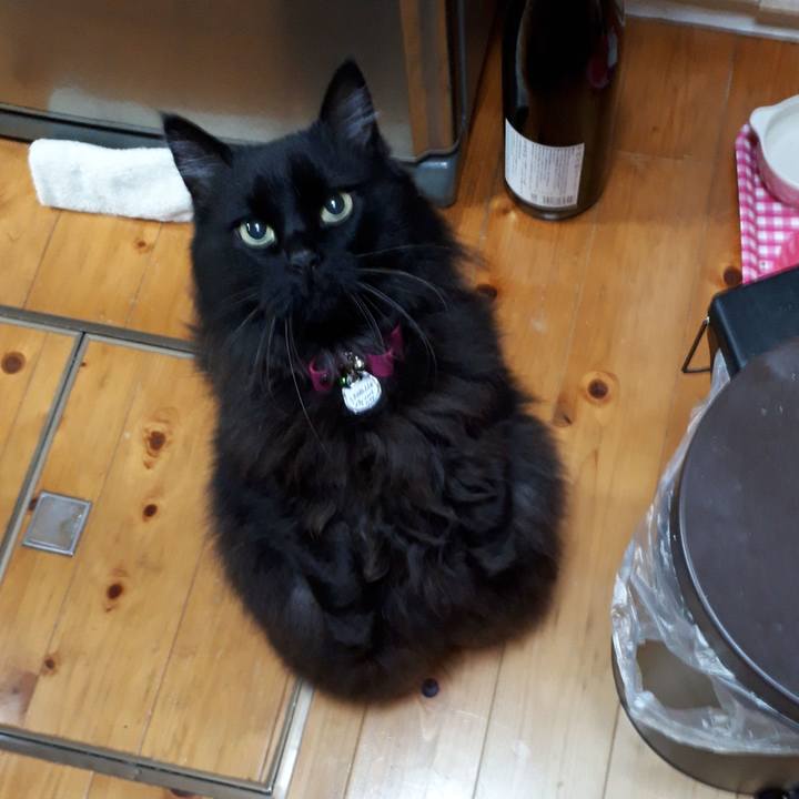 79e71b57 9b62 4365 9745 d4e3d9d91f79 1521834201529