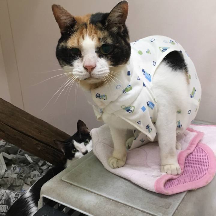 79e71eef fd02 494f 97be db7310dce9e5 1537355294957