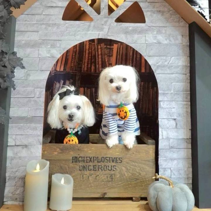 79e7a936 a34c 414c 959e 404bbfb4285b 1759130175416