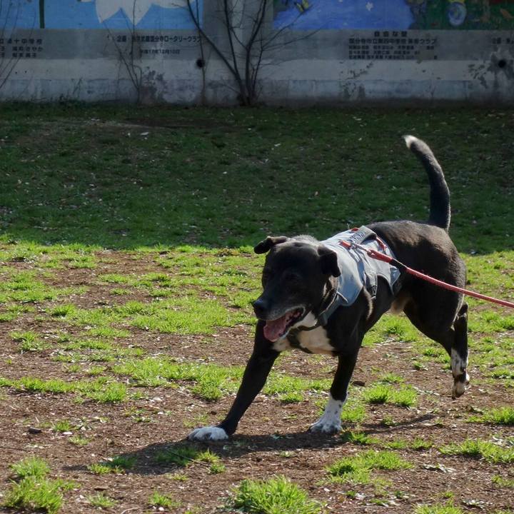 79e7b384 a227 45e8 8e7b 1a190281abe3 1742692285749