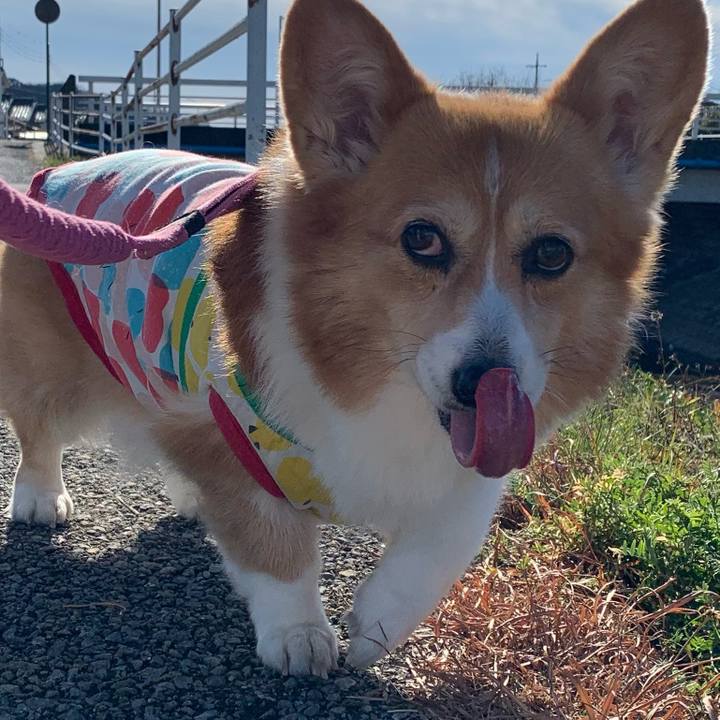 79e7d692 326e 416a bd36 1e9e0700a975 1703673186384