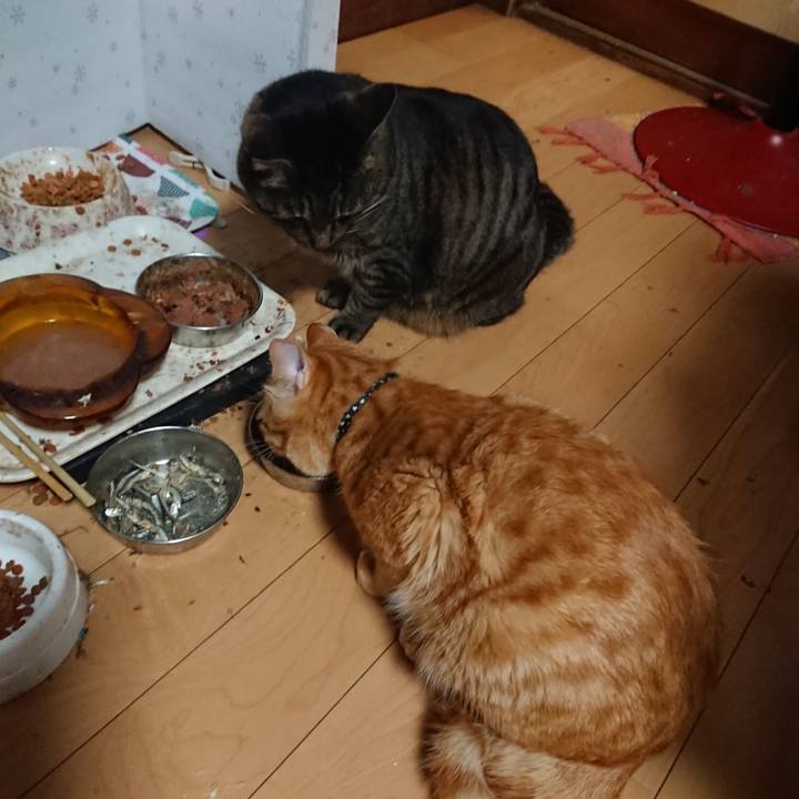 79e8156b 35eb 4c2f ace2 decccbe4fe4b 1644143291527