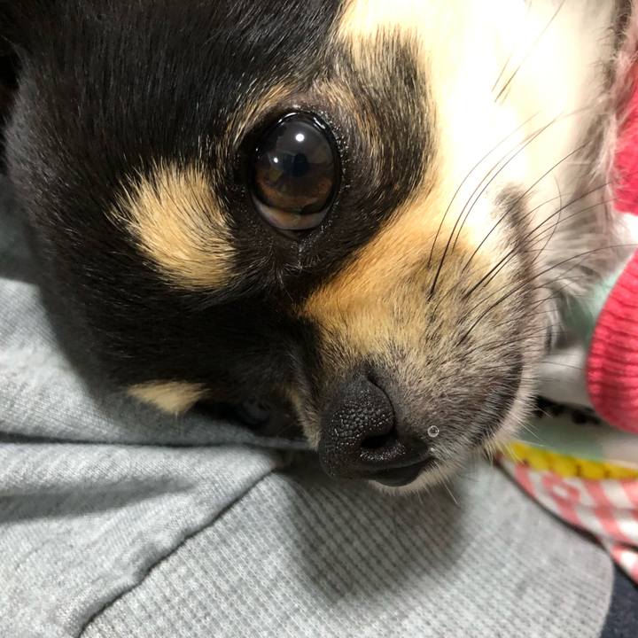 79e824d6 6d91 4fbd 9f26 ab5dd8dad144 1556153738026