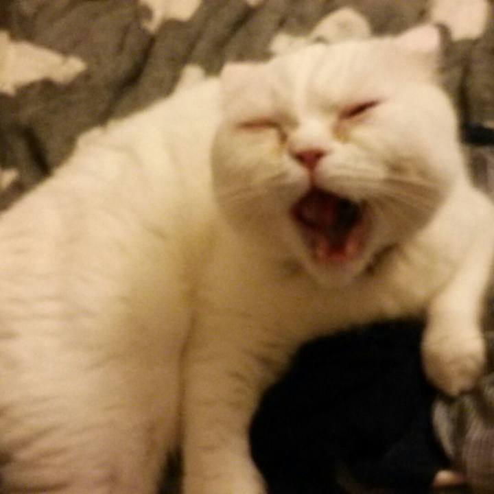 79e8e206 0194 43c5 b82a fd094621d9b3 1526424563180