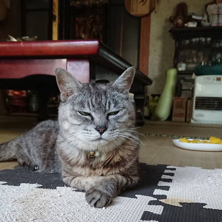 79e91290 bef2 4c8f b6a0 d6958eb0623b 1566113333780