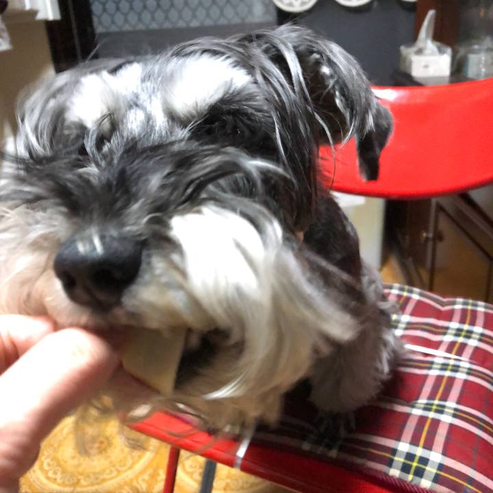 79ea0a03 8780 4239 98d0 94b0ecc20df3 1683091804952