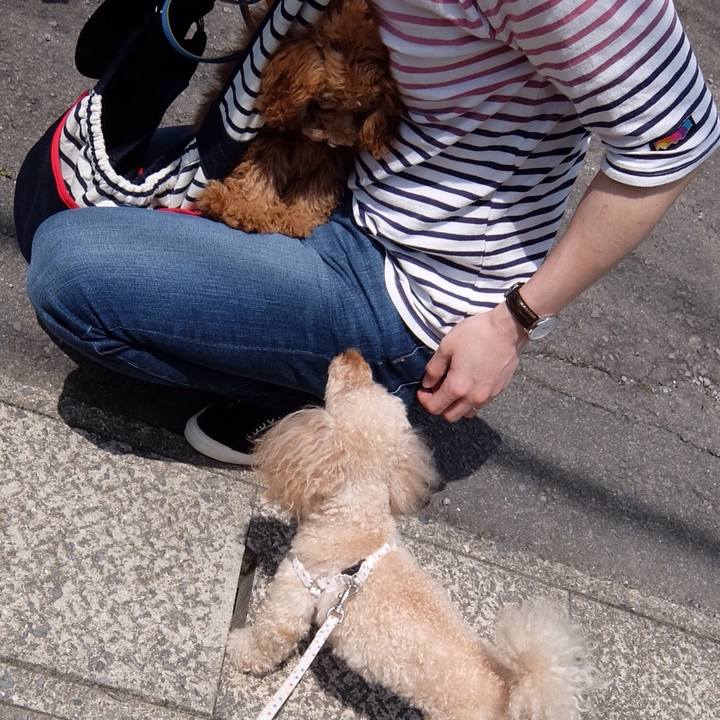 79ea2cd5 8701 418a 8bc0 425afe2f5cf3 1557054409556