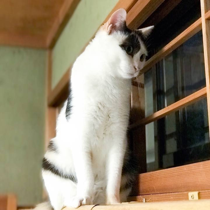 79ead13e 59cf 48df ac68 c4012047b34b 1534517526665