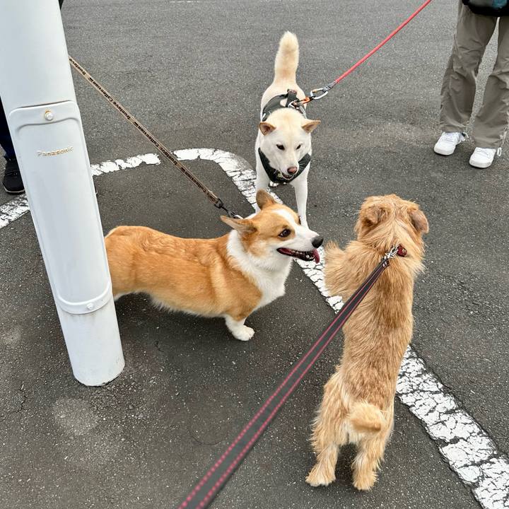 79ead19d 2093 487c b539 15a32f9d7446 1725688503078