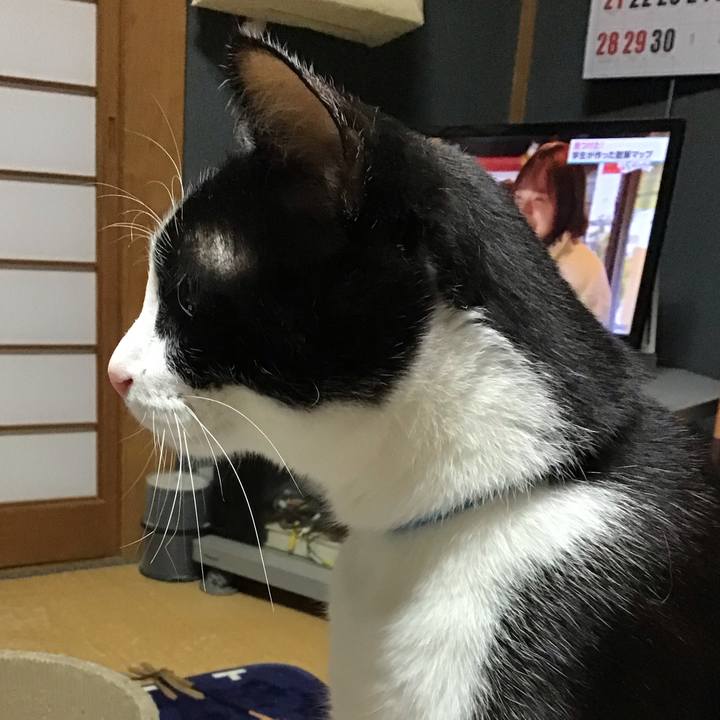 79eae79e 23b9 4bec 9633 12fabfcf3914 1712139192692