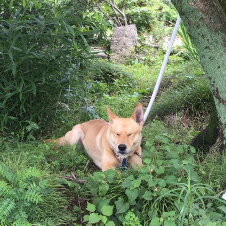 79eb4e96 cfa8 40ef abb6 a8f998e26541 1592726045255