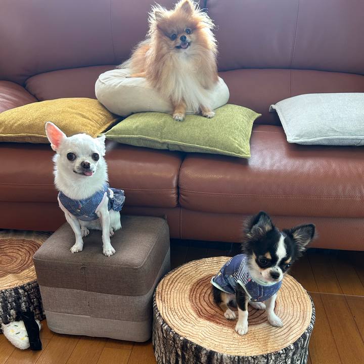 79eb52df 8985 4576 bb4d e501760fa4f5 1757891227264