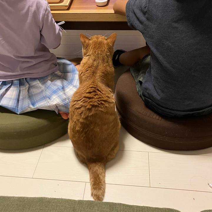 79ebb542 1d4a 450f b2d3 dc36bc5ac07d 1758190189891