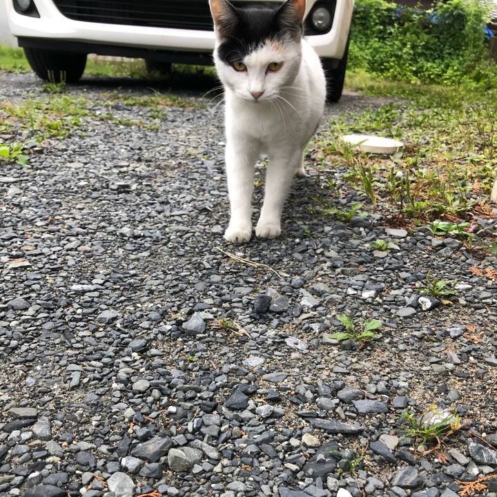 79ebb9c1 7176 4cff b6b0 9e598a0b88a7 1601071730768