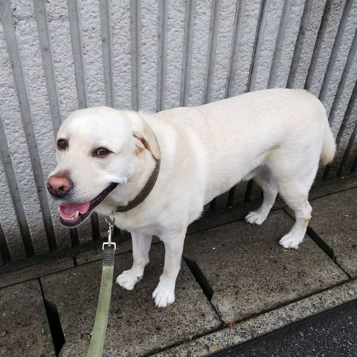 79ebc912 b7d9 4083 a21c 7cfa013c117f 1563328135425