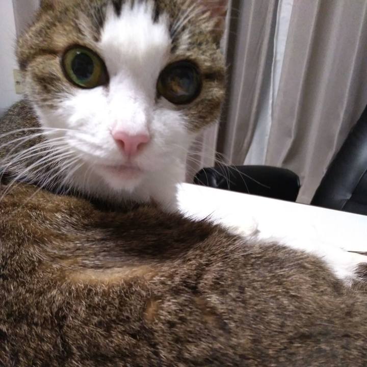 79ebce82 ec14 4e71 bd78 89cd9683a6a7 1537445519431