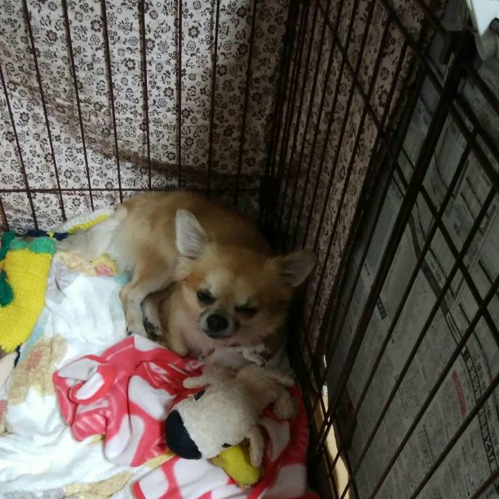 79ebdef1 8551 40b9 bb85 54c3ef18aac5 1510311661637