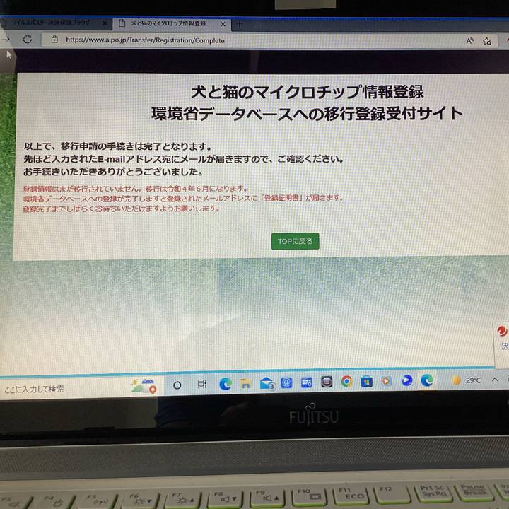 79ebe00e e08f 482e b036 727f4d45e10c 1653802882656