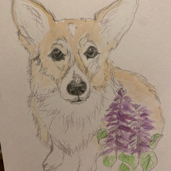 79ebeab7 b468 4e7c abf0 bff3197ef782 1664890602184