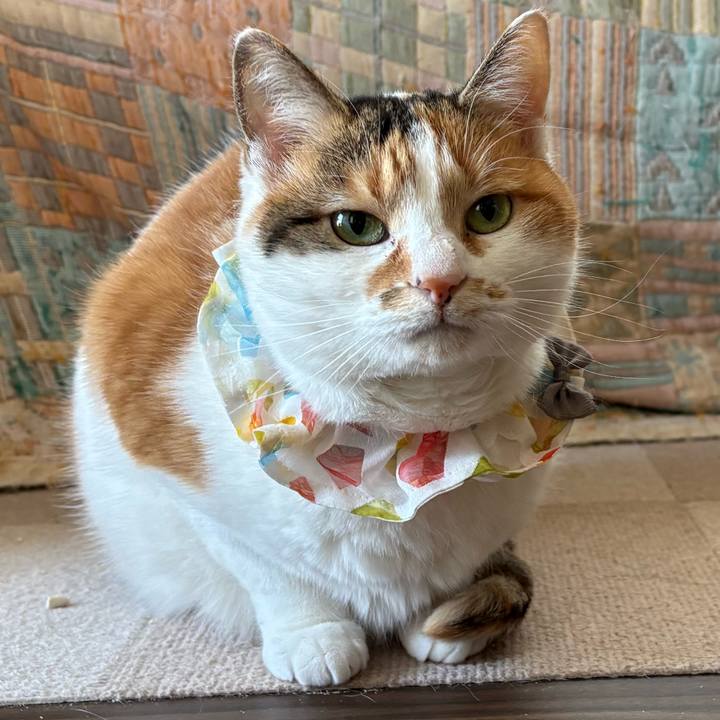 79ec4f3f fda6 4f93 a918 50a112a883a6 1773276347452