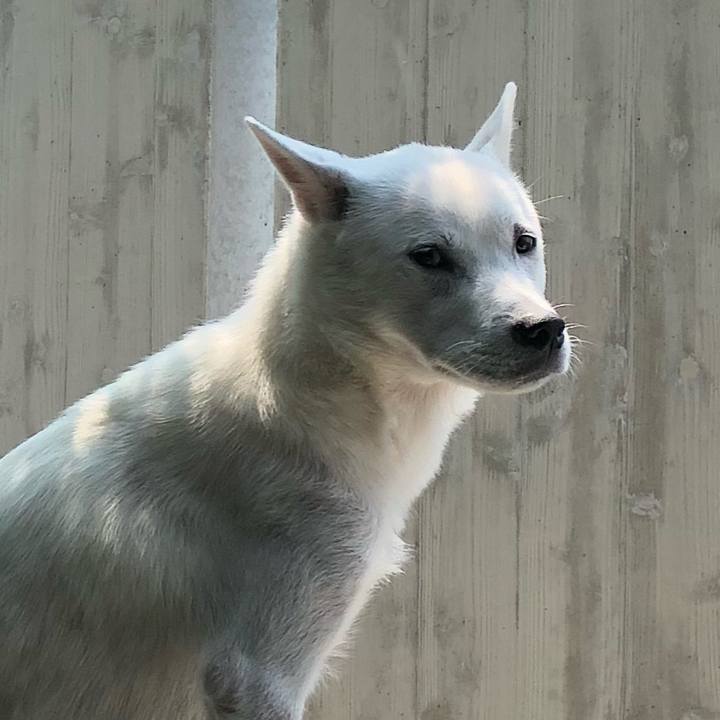 79ec69bc a0e2 4123 af80 307c0e72c162 1533355805695