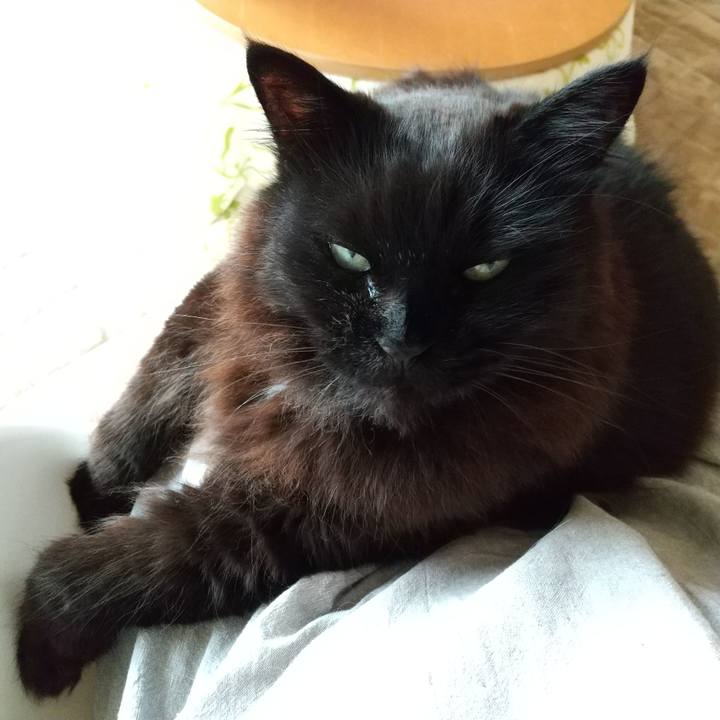 79ec8a87 185b 4290 80cd a7867cfdde4f 1650613836451