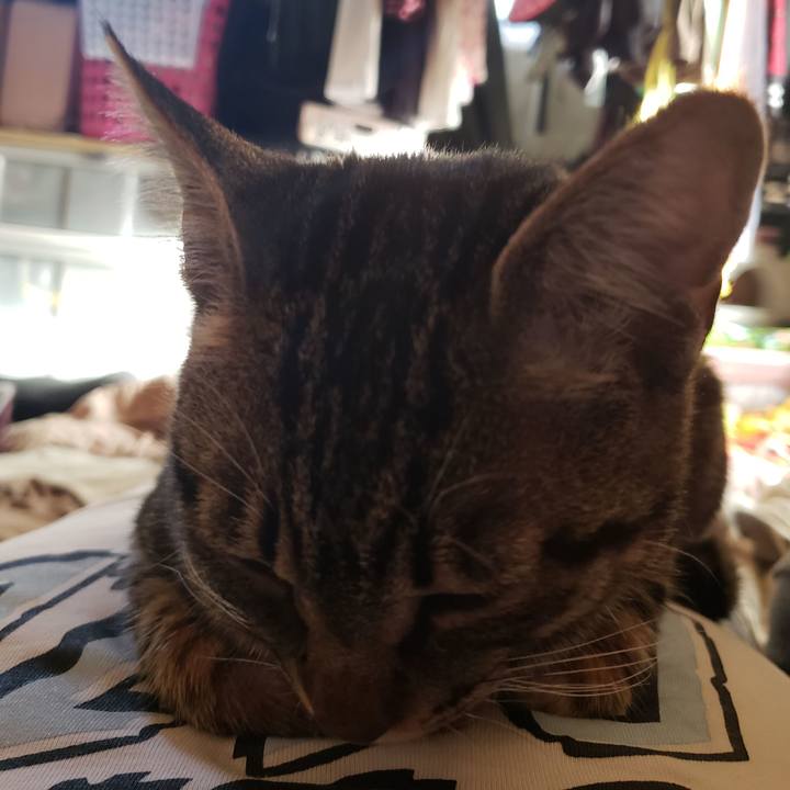 79ecc0e6 f58b 4373 9817 fbbcacf1cf1d 1543468928029