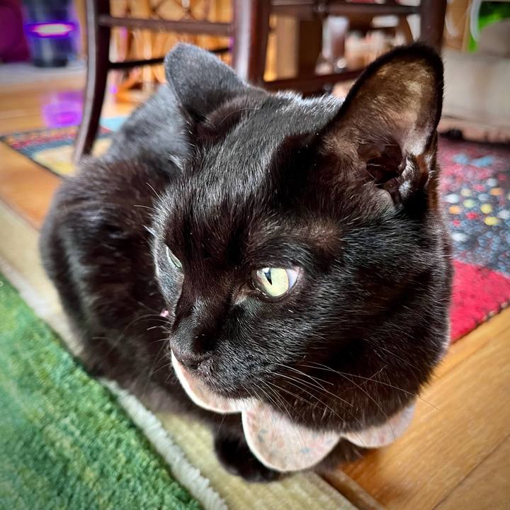 79eccb71 9a7c 4b3e bf2b 5cc0d5797538 1733359844514