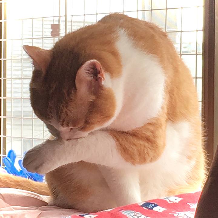 79ed1c98 785d 4e3a b624 80fcf972a700 1596856786343