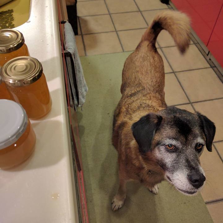 79ed1deb 28ec 4356 8dd7 c42490cbfc6a 1704415202327