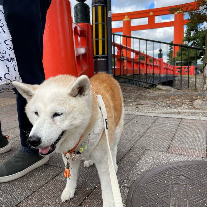 79ed2345 f48d 474e a2ae 71e06106ba09 1699682757260