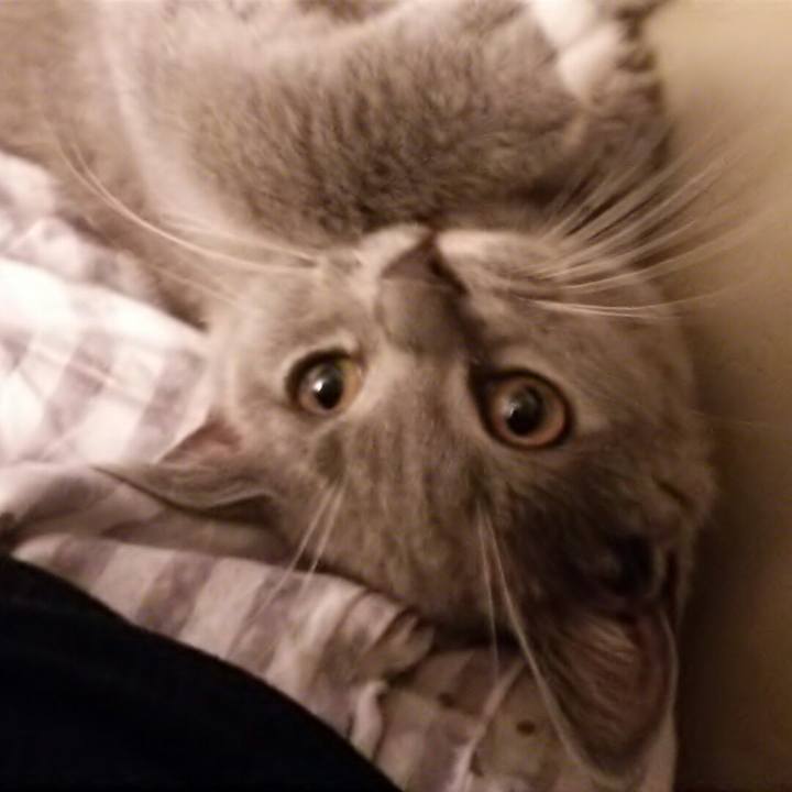 79ed3966 69d3 4ff2 bded f580d8637df6 1532643638330