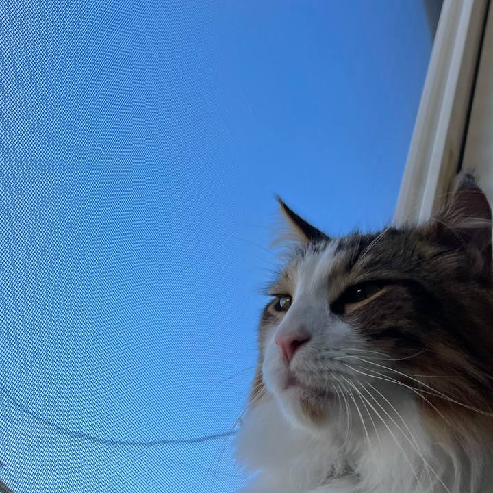 79ed9de6 e53e 4b0d 90b5 37cc168cd8d0 1661117150536