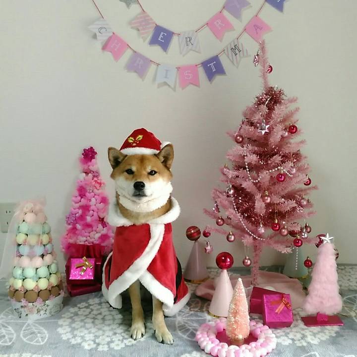 79eda9ac c002 4235 bc16 b7e0fd86cbbe 1545014068747