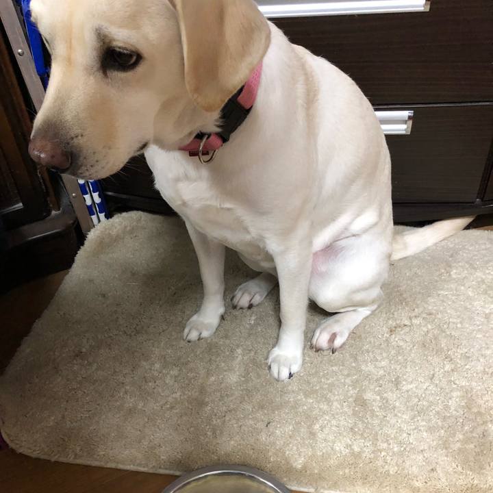 79edc4a7 c66e 4c4f a161 60a633b00425 1576183884328