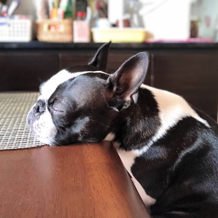 79edd5a2 01ac 43aa 86c7 5062866bebc0 1526447769275